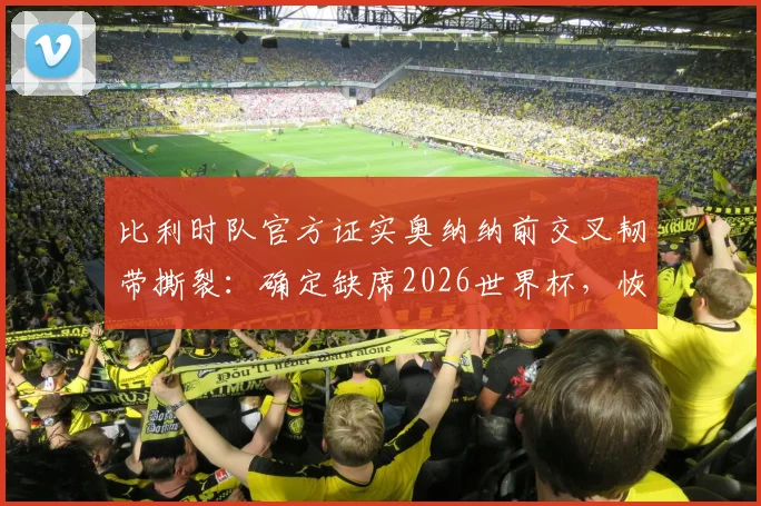 比利时队官方证实奥纳纳前交叉韧带撕裂：确定缺席2026世界杯，恢复时间线及替代者分析